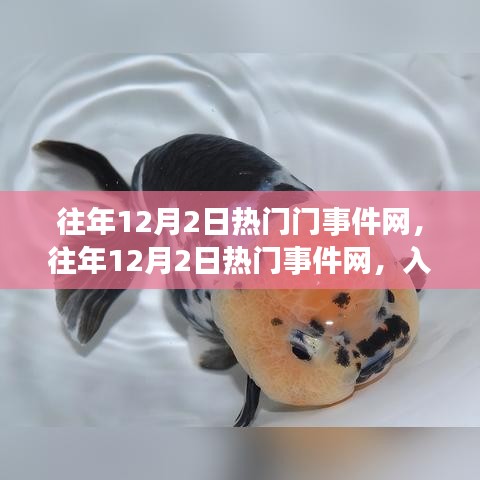 往年12月2日熱門事件網概覽，入門指南與操作教程