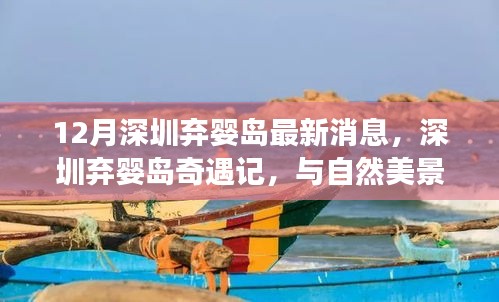 深圳棄嬰島最新動(dòng)態(tài)，與自然美景的邂逅，尋找內(nèi)心平和之旅