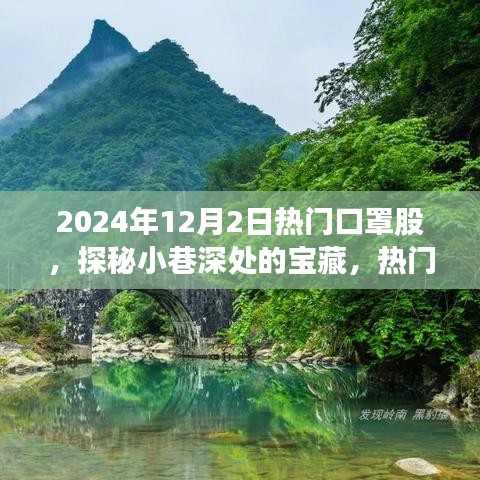 探秘口罩股背后的獨特故事，小巷深處的寶藏，熱門口罩行業揭秘（2024年12月2日）