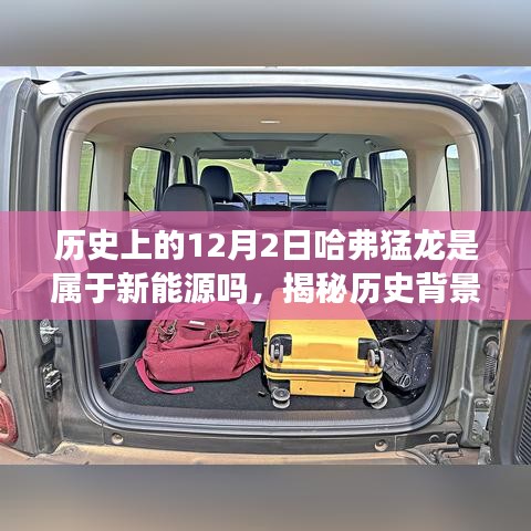 揭秘歷史背景下的哈弗猛龍，是否屬于新能源的全面指南？
