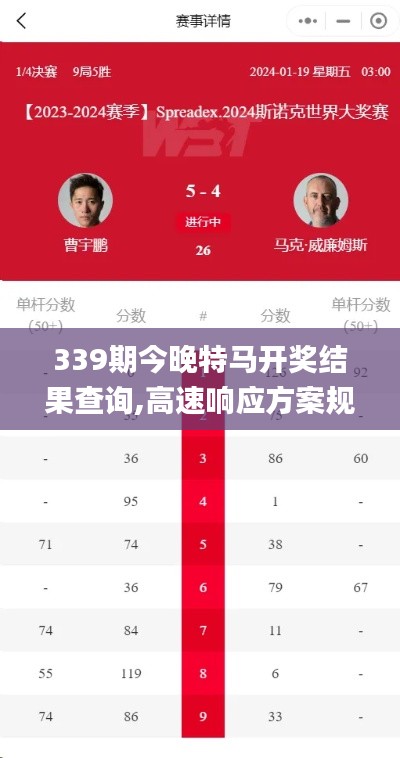 339期今晚特馬開獎結果查詢,高速響應方案規劃_影像版4.412-2
