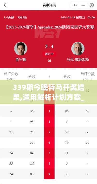 339期今晚特馬開獎結果,適用解析計劃方案_免費版186.473-5