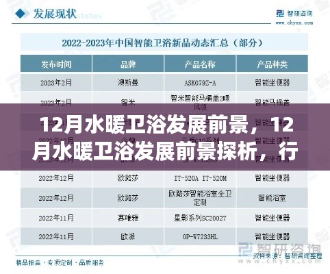 12月水暖衛浴行業發展趨勢深度解析，前景展望與個人洞察