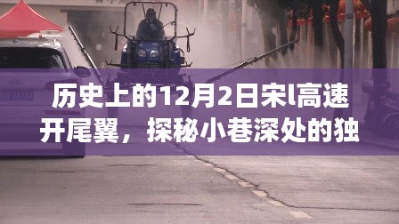 宋L高速尾翼主題小店，探秘小巷深處的獨(dú)特風(fēng)味