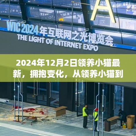 勵志之旅，從領養小貓到人生新篇章，擁抱變化的溫暖故事（2024年領養小貓最新）