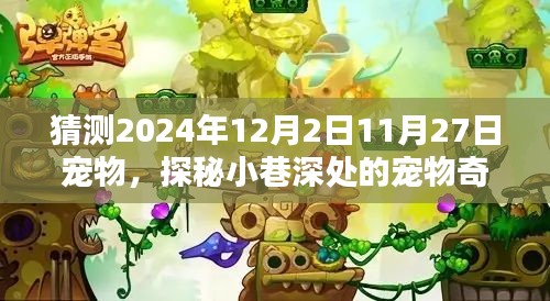 時(shí)光巷弄的寵物奇緣，探秘2024年12月寵物樂(lè)園的神秘面紗