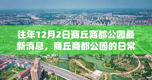 往年12月2日商丘商都公園的日常，暖陽下的歡樂時光最新消息