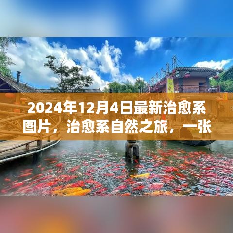 心靈治愈之旅，自然之美喚醒心靈，啟程尋找內心的桃花源（最新治愈系圖片分享）