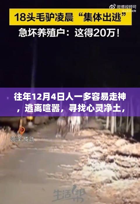 逃離喧囂，尋找心靈凈土，自然美景之旅，專注心靈的寧靜之旅