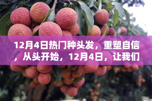 重塑自信，從頭開始，12月4日種發(fā)行動(dòng)，種下希望的頭發(fā)種子