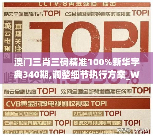 澳門三肖三碼精準100%新華字典340期,調整細節執行方案_W69.305-3