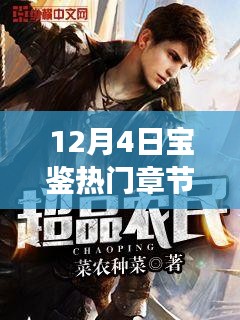 揭秘?zé)衢T章節(jié)背后的故事，深度解讀與觀點(diǎn)碰撞——12月4日寶鑒章節(jié)