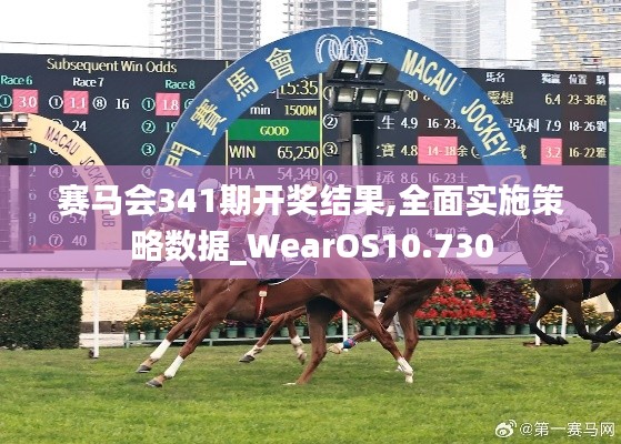 賽馬會341期開獎結(jié)果,全面實施策略數(shù)據(jù)_WearOS10.730