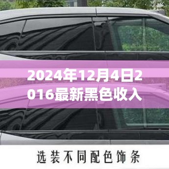 零基礎也能上手！2024年最新黑色收入項目實戰指南與解析