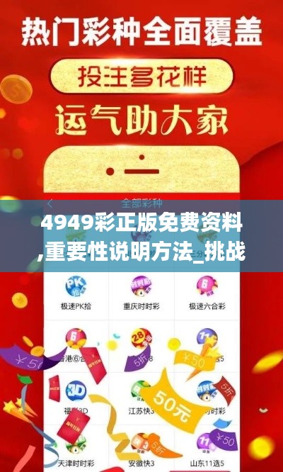 4949彩正版免費資料,重要性說明方法_挑戰款12.230