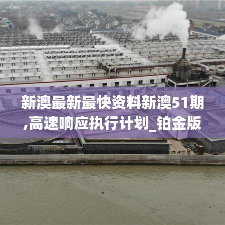 新澳最新最快資料新澳51期,高速響應執行計劃_鉑金版2.816
