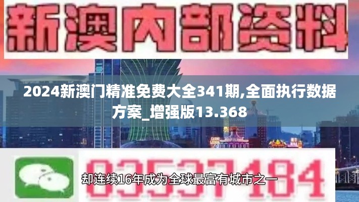 2024新澳門精準免費大全341期,全面執行數據方案_增強版13.368