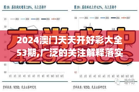 2024澳門天天開好彩大全53期,廣泛的關注解釋落實熱議_N版3.943