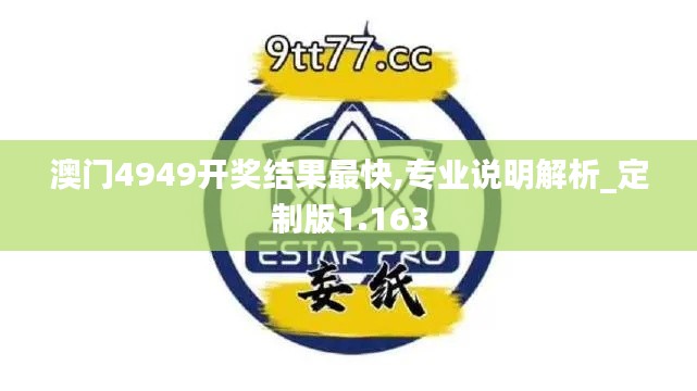 澳門4949開獎結果最快,專業說明解析_定制版1.163