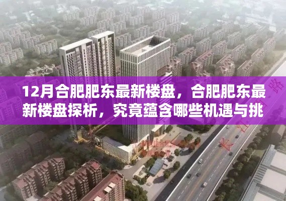 合肥肥東最新樓盤探析，機(jī)遇與挑戰(zhàn)揭秘