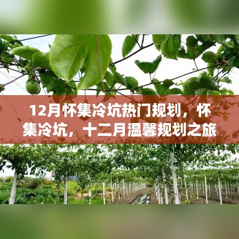 懷集冷坑十二月規劃之旅，暖心日常故事開啟溫馨之旅