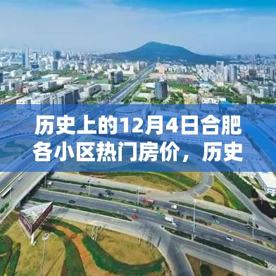 歷史上的12月4日合肥各小區熱門房價深度解析與觀點闡述