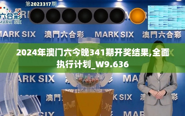 2024年澳門六今晚341期開獎結果,全面執行計劃_W9.636