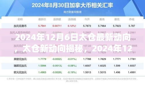 2024年12月6日太倉(cāng)最新動(dòng)向，太倉(cāng)新動(dòng)向揭秘，2024年12月6日的深度洞察