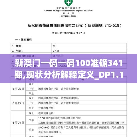 新澳門(mén)一碼一碼100準(zhǔn)確341期,現(xiàn)狀分析解釋定義_DP1.133