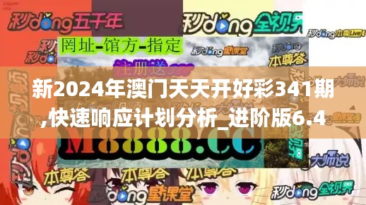 新2024年澳門天天開好彩341期,快速響應計劃分析_進階版6.474
