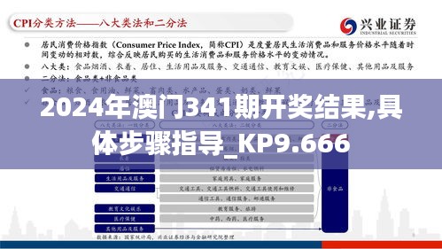 2024年澳門341期開獎結果,具體步驟指導_KP9.666
