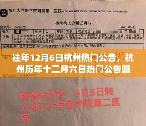 歷年12月6日杭州熱門公告回顧，事件背景、影響與時代印記