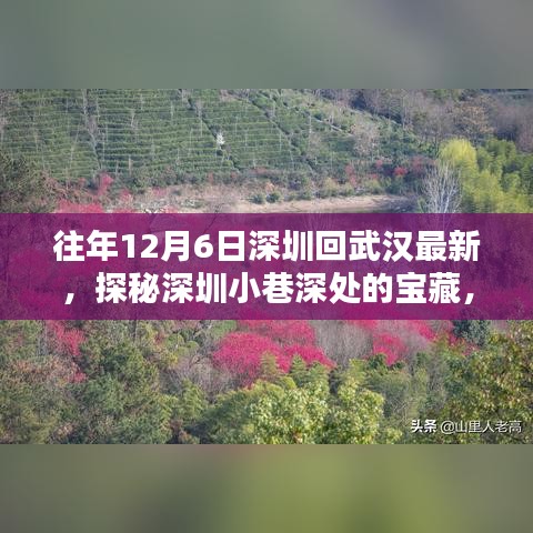 探秘深圳小巷深處的寶藏，武漢特色小店的隱藏之旅（歷年12月6日深圳至武漢最新）