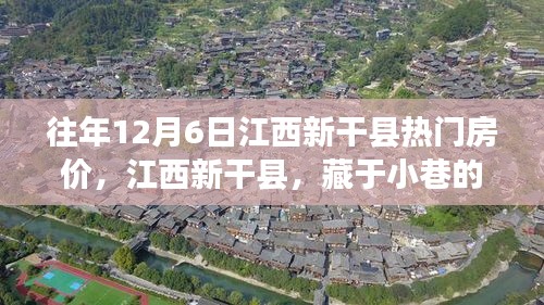 江西新干縣小巷房價奧秘與獨特風(fēng)情小店，歷年12月6日熱門房價回顧