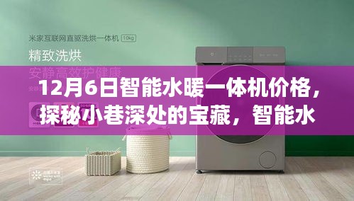 探秘小巷深處的寶藏，智能水暖一體機的驚喜價格之旅！