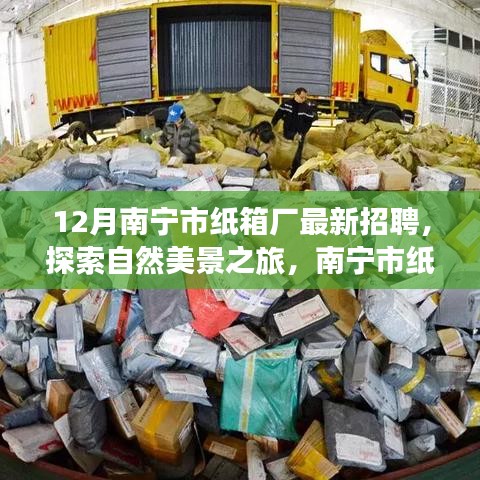 南寧市紙箱廠12月最新招聘啟事，探索自然美景之旅，尋找內心的寧靜與平和之旅