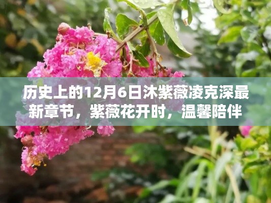 紫薇花開時的溫馨陪伴，沐紫薇凌克深最新章節——歷史上的12月6日