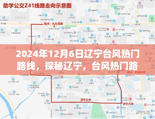 遼寧臺風熱門路線下的美食探秘之旅，隱秘小巷的味蕾盛宴（2024年12月6日）