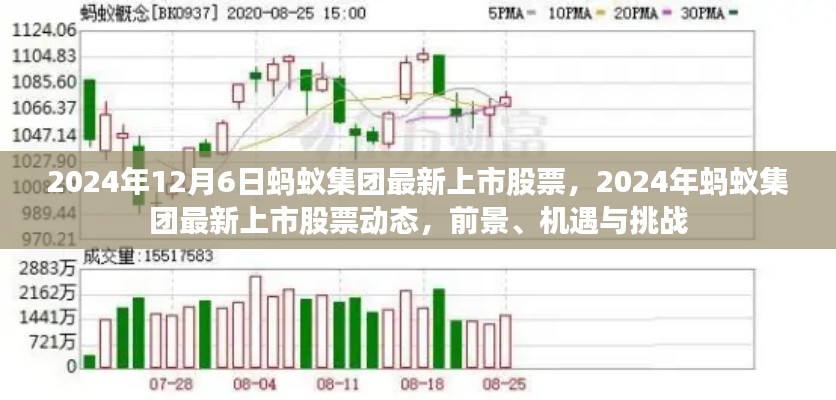 2024年螞蟻集團上市股票動態，前景、機遇與挑戰一覽