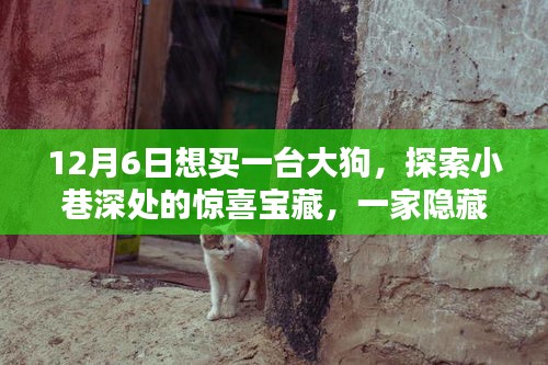 大狗探秘，小巷深處的隱藏式特色小店相遇記