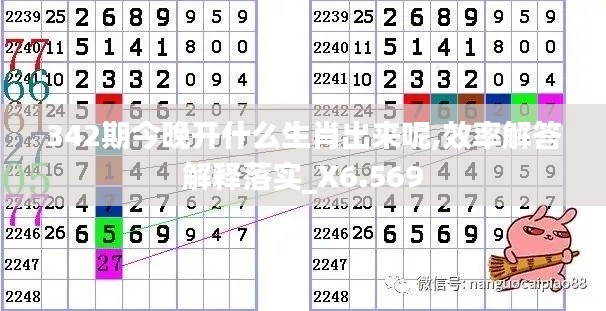342期今晚開什么生肖出來呢,效率解答解釋落實_X6.569