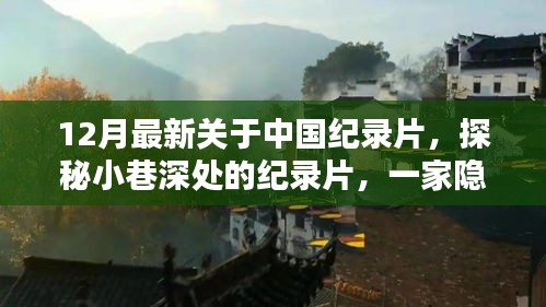 探秘小巷深處的隱藏版特色小店，中國紀錄片最新力作