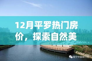 揭秘平羅熱門房價與探索自然美景之旅，寧靜港灣的探尋