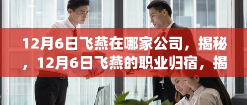 揭秘飛燕的職業歸宿，揭秘飛燕所在公司的秘密（12月6日更新）