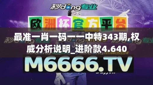 最準(zhǔn)一肖一碼一一中特343期,權(quán)威分析說明_進階款4.640