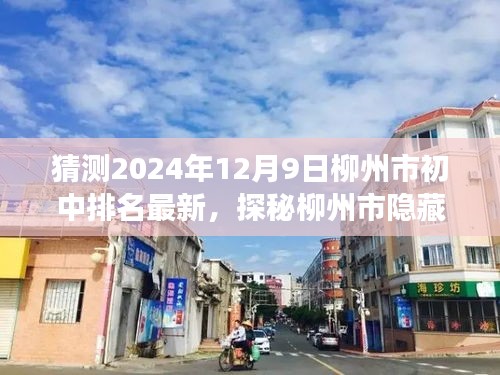 探秘柳州市隱藏小巷與特色小店故事，揭秘2024年柳州市初中排名背后的故事與最新排名猜測