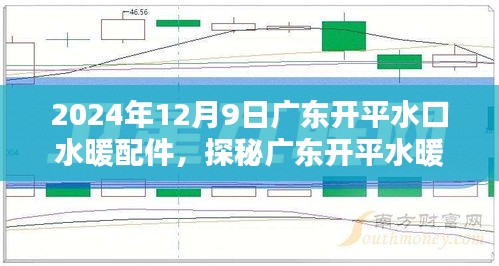 探秘廣東開平水暖配件，小巷深處的獨特風情與隱藏的水暖配件小店紀實