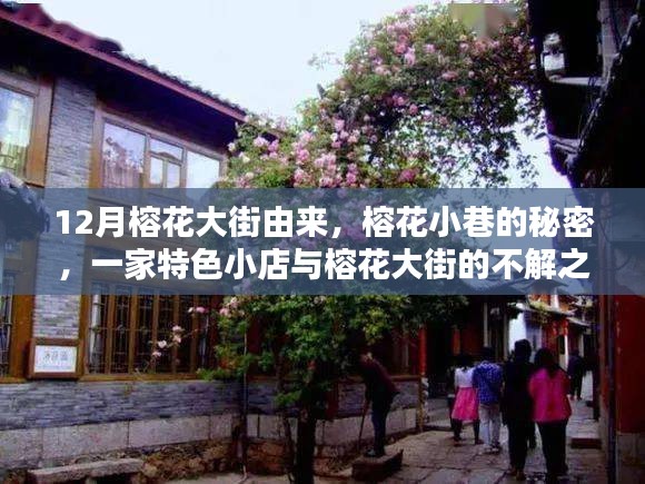 榕花大街與小巷的秘密，一家特色小店的故事