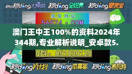 澳門王中王100%的資料2024年344期,專業(yè)解析說明_安卓款5.739