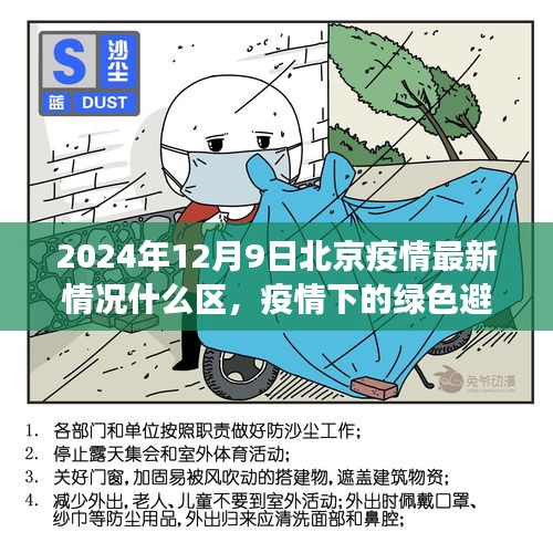 北京疫情最新動態，綠色避風港中的尋找寧靜之旅